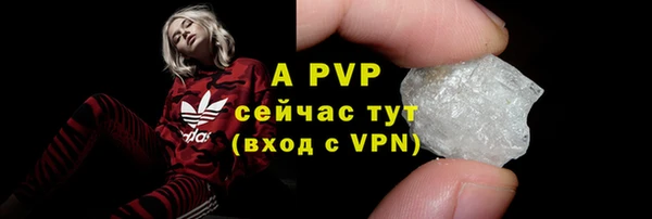 СК Арсеньев