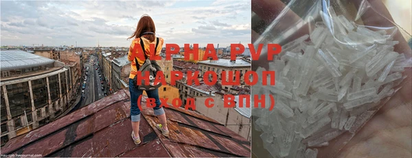 СК Арсеньев