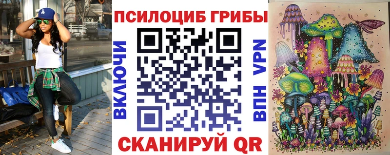 Псилоцибиновые грибы MAGIC MUSHROOMS Купить где Закаменск